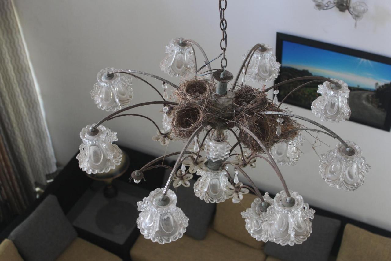 Ragama Bird'S Nest By Natures Bliss מראה חיצוני תמונה